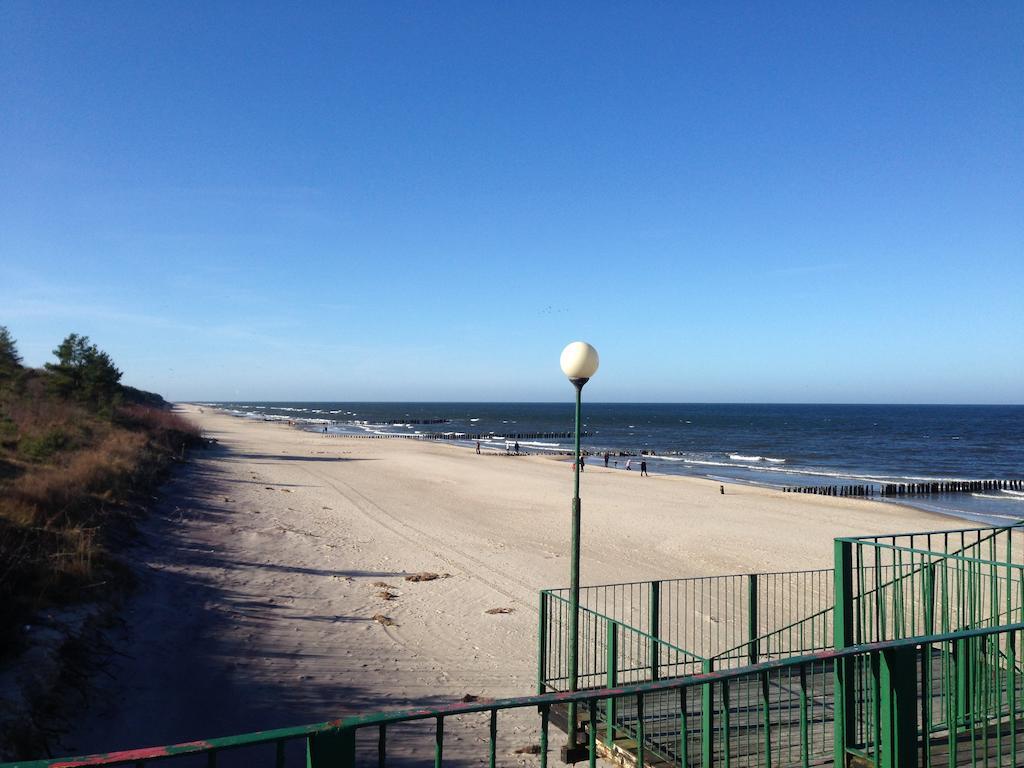 Baltic Sea Apartment 드지우노웨크 객실 사진